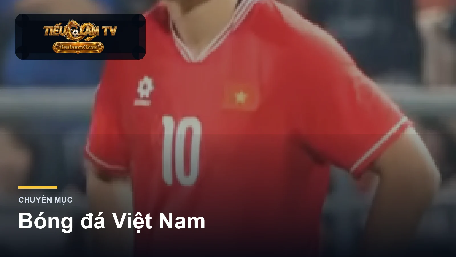 bóng đá Việt Nam trên tieulamtv