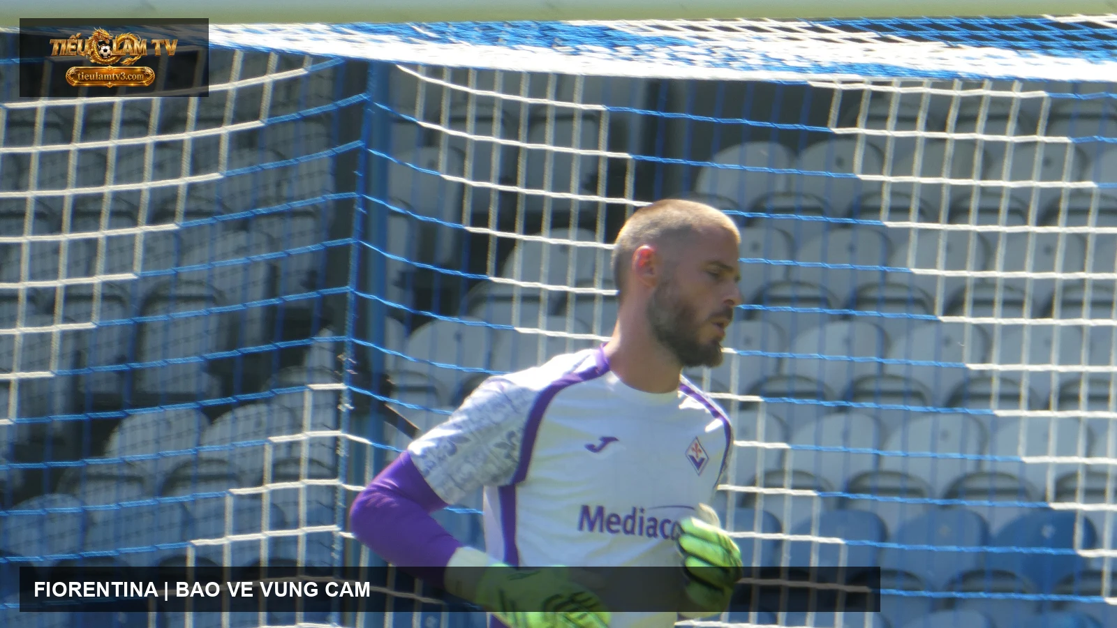 David de Gea trong màu áo Fiorentina