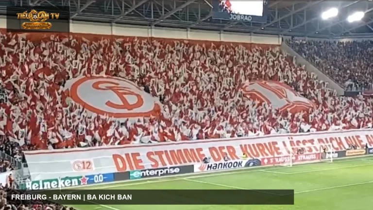 Khán đài trận đấu của SC Freiburg