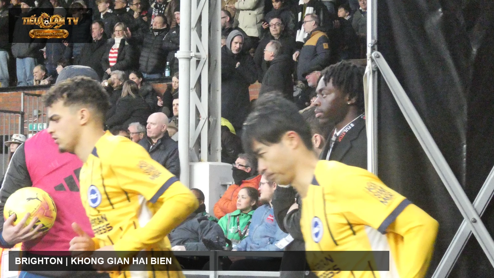 Yasin Ayari và Kaoru Mitoma trong ảnh tư liệu Brighton